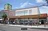 周辺：ライフ住吉店まで255m