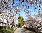 万代池公園まで654m