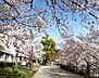 周辺：万代池公園まで654m
