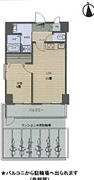 ライオンズマンション上町台 1LDKの間取図画像