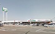 鮮ど市場南宮崎店まで1087m
