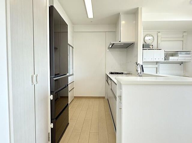 キッチン ウィルコート八木 3階/-