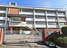 周辺：柏原市立玉手中学校まで685m