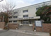 藤井寺市立道明寺中学校まで700m
