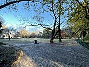 越谷市緑の森公園まで538m