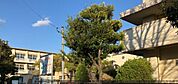 岡崎市立城北中学校まで1500m、現地から1500m