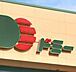 周辺：ドミー大樹寺店まで500m、現地から500m