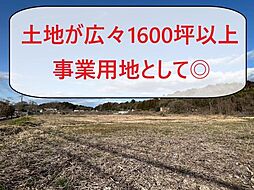 物件画像 川戸町 大型土地