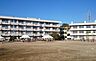 周辺：こてはし台小学校まで295m
