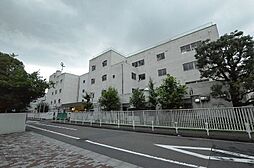 [周辺] 新宿小学校 369m