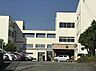 周辺：豊橋市立幸小学校まで817m