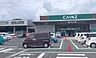 周辺：カインズ大原店まで5529m