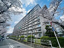 物件画像 山科団地B棟