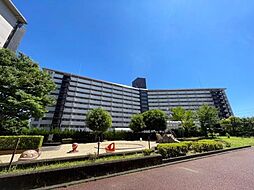 物件画像 向島ニュータウン第三街区Ａ棟