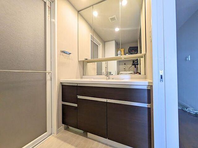 洗面 エイリックスタイル高崎グランヒルズ 13階/-