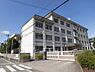 周辺：大分市立津留小学校まで800m、大分市立津留小学校まで約800ｍ