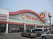 マルキョウ新貝店まで1190m、マルキョウ新貝店まで約1190ｍ