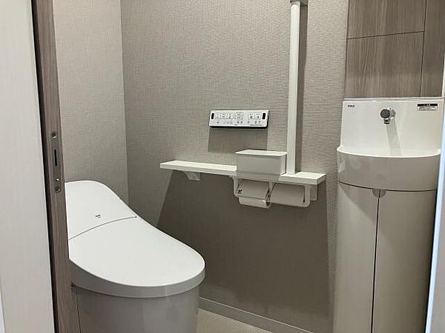 トイレ プレサンス　ロジェ　豊橋前田中町CL 11階/-