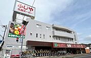 ふじや de SKYまで309m