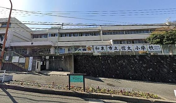 和泉市立信太小...