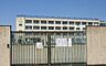 周辺：東大阪市立縄手東小学校まで999m