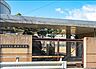 周辺：東大阪市立成和小学校まで1146m