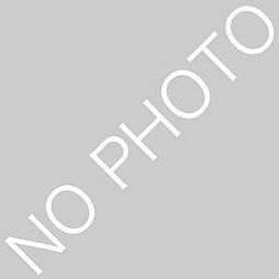 ティエラ東札幌 1LDKの間取図画像