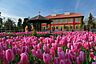 周辺：神奈川県立花と緑のふれあいセンターまで5761m