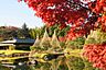 周辺：白鳥公園まで1809m