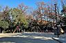 周辺：八事富士見公園まで557m
