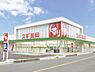 周辺：スギ薬局富士松店まで1000m