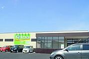 Felna大和店まで510m