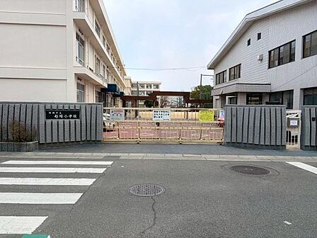 姫路市立船場小学校まで636m