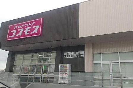 ディスカウントドラッグコスモス城ケ崎店まで1644m