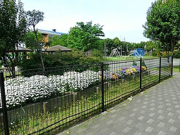 周辺を拡大表示