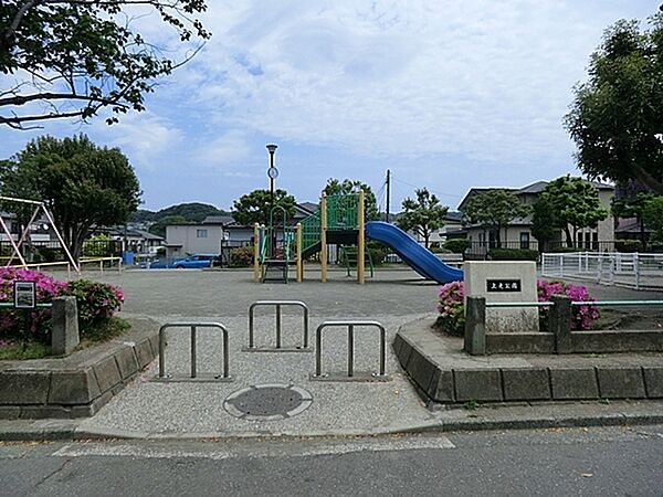 周辺を拡大表示
