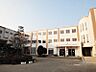 周辺：茅ヶ崎市立柳島小学校まで1571m