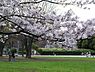 周辺：中央公園まで960m