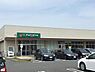 周辺：マルエツなぎさモール辻堂店まで587m