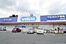 周辺：ウエルシア北本中丸店まで1254m、医薬品から日用品まで揃うウエルシアが近く、調剤薬局も併設されているため、いざという時に頼りになります。