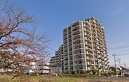 物件画像 コットンアイランドアルテ
