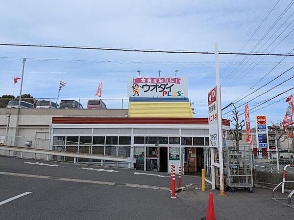 周辺を拡大表示