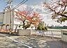 周辺：堺市立三国丘中学校まで1720m