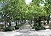 泉尾公園まで740m