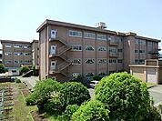 八王子市立大和田小学校まで523m