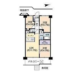 ハイラーク新赤羽