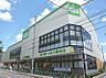 周辺：コープ中野鷺宮店まで270m
