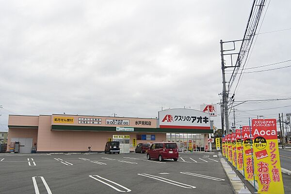 画像29:クスリのアオキ水戸見和店