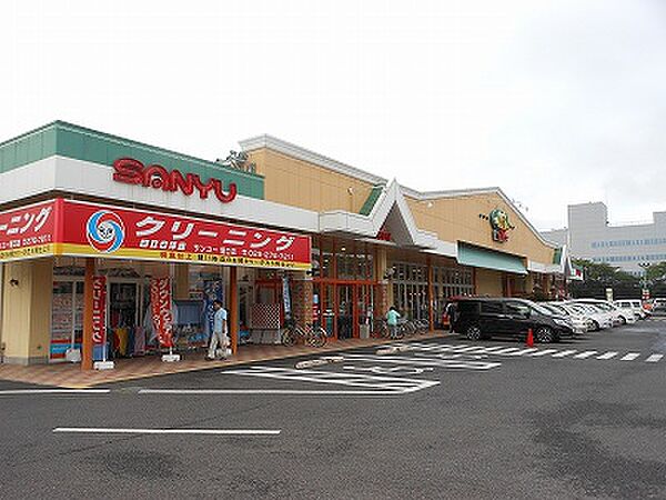 画像29:サンユーストアー堀口店