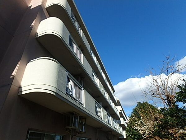 SHIRAUME TERRACE B 302号室｜茨城県水戸市白梅(賃貸マンション2LDK・3階・78.96㎡)の写真 その7